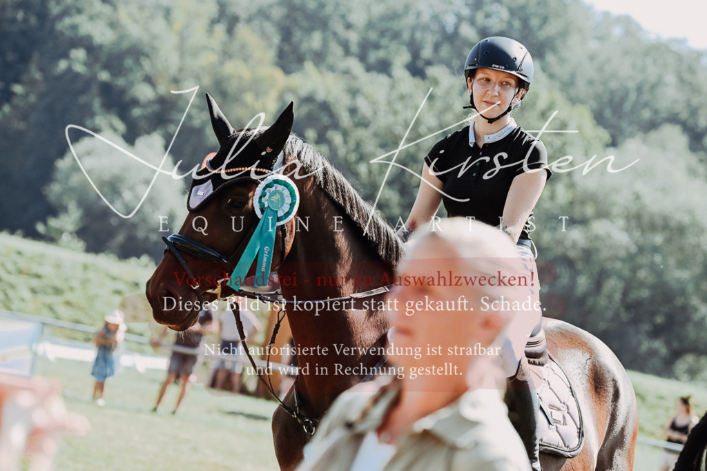 DSC_6215 | Pferde- und Turnierfotografie in Westsachsen. Pferdeportraits, Auftragszeichnungen und intuitive Kunst.