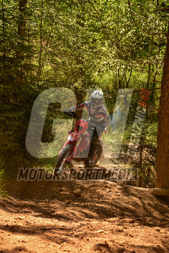 NZ8_2697 | grenznic640