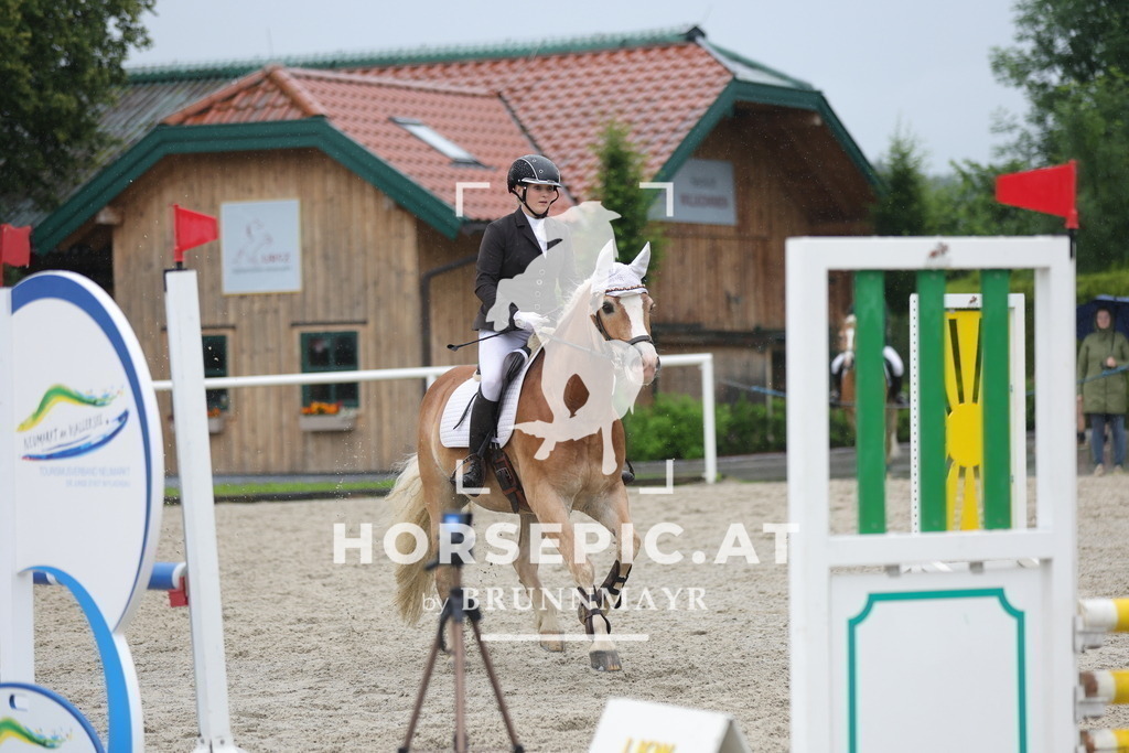 0P6A8011 | Willkommen bei Brunnmayr - Design & Fotografie – Ihrem Spezialisten für Reitturniere und Pferdeveranstaltungen in Oberösterreich, Salzburg und Bayern! Seit über 17 Jahren sind wir leidenschaftlich dabei.