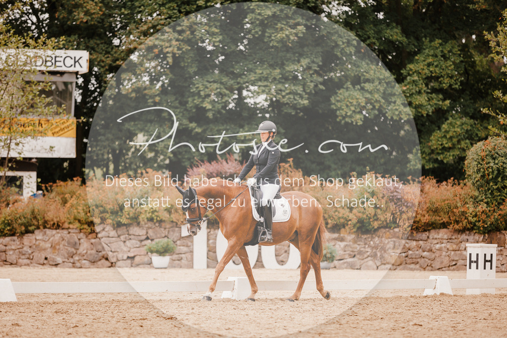 3I6A5907 | Stimmungsvolle Portraits und Reitsportfotografie im Ruhrgebiet und im Münsterland.

Pferdefotografie, Hundefotografie, Tierfotografie, Reportagen, Portraits von Tier und Mensch, Turnierfotografie in Bochum, Recklinghausen, Marl, Haltern am See, Dülmen.. - Realisiert mit Pictrs.com