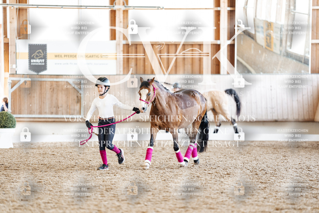 CK907093 | Turnierfotografie Pferdefotografie Trier Rheinland-Pfalz Pferdesport Reitsport Tierfotografie Sportfotografie Pferdevideo Pferdevideografie Equestrianvideography equestrianphotography  - Realisiert mit Pictrs.com