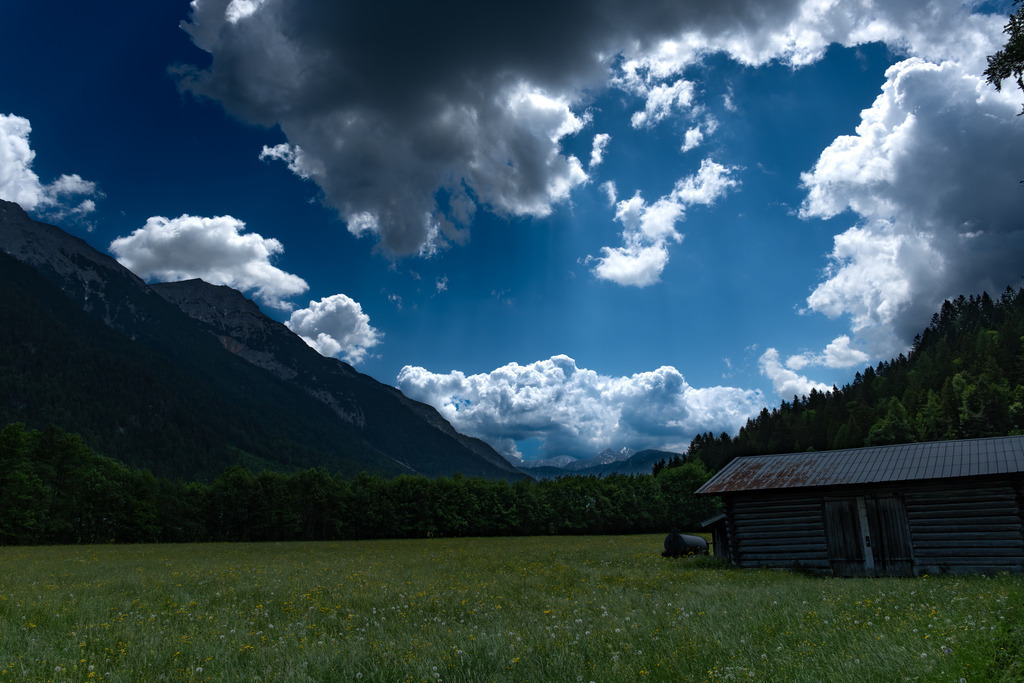 DSCF7303-10 | Tier- & Landschaftsfotografie und Porträtshootings. Entdecke einzigartige Fotokunst als Wandbild, Tasse oder Mauspad – mit Leidenschaft fotografiert - Realisiert mit Pictrs.com