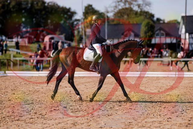 2026_10_03_Siefer-Hof_130220_Z81_56137754 | Professionelle Reitsport-, Turnier- und Eventfotografie von Robert Broda. Galerien mit ausgewählten und bearbeiteten Bildern direkt online ansehen und bestellen.