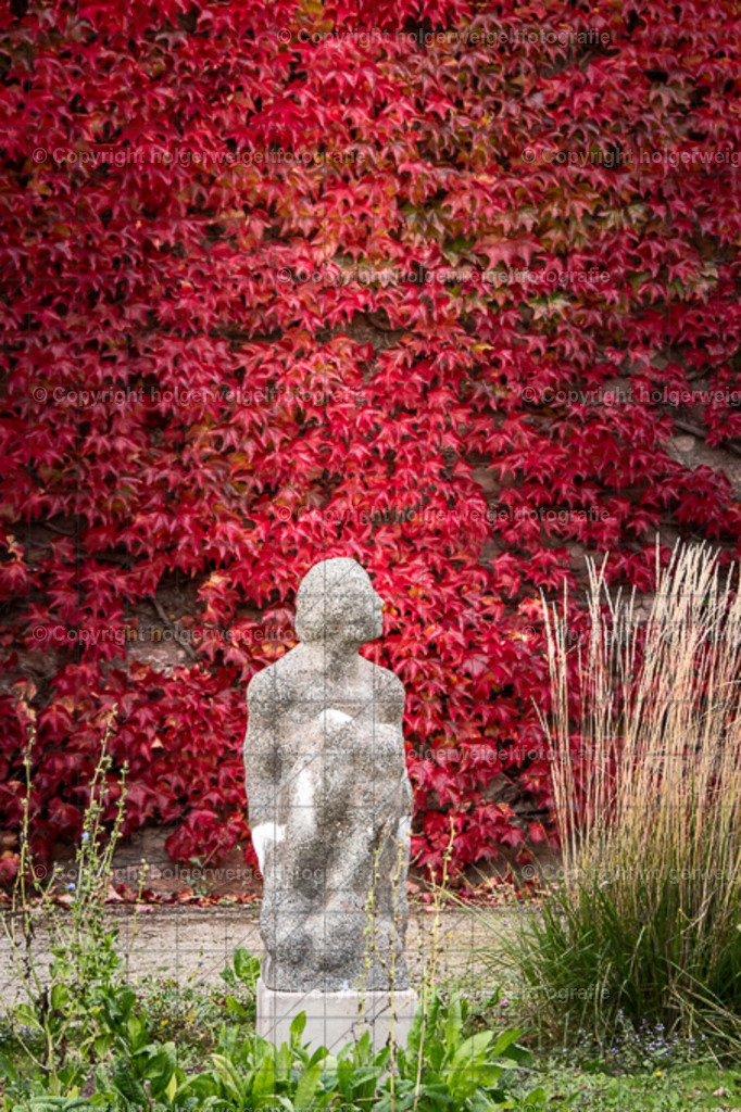 20251019170238D75_8903 | Kaufen sie online außergewöhnliche Fotografien auf Leinwand Acrylglas Fotoprint Aludibond von holgerweigeltfotografie - Realisiert mit Pictrs.com
