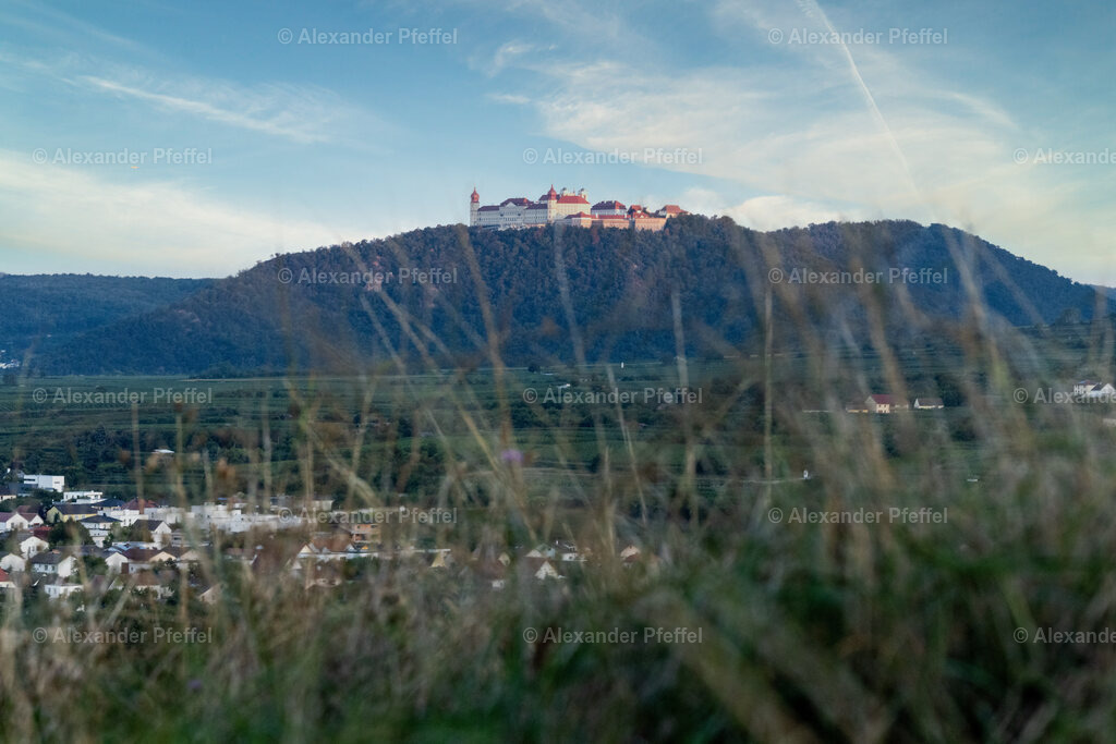 foto_c_pfeffel-partner-0039-R51_5117-Bearbeitet-2 | alexander-pfeffel - Realisiert mit Pictrs.com