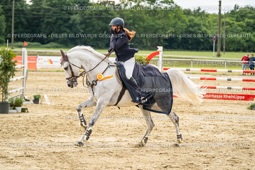 DSC07327 | Pferdegrafie