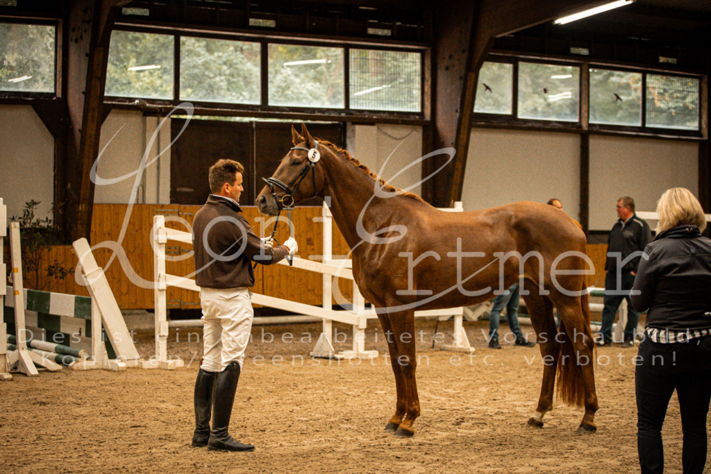 1FS_L00077 | Leoni Ertmer Photography - Realisiert mit Pictrs.com