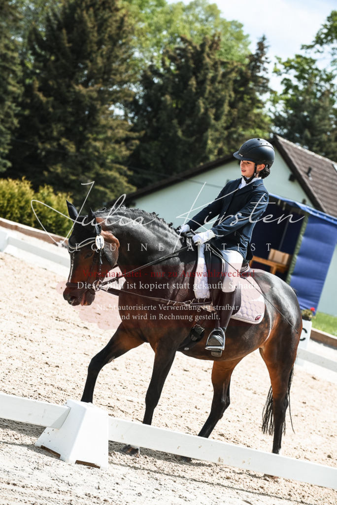 20230518_JK-Röhrsdorf-11-0539 | Pferde- und Turnierfotografie in Westsachsen. Pferdeportraits, Auftragszeichnungen und intuitive Kunst.