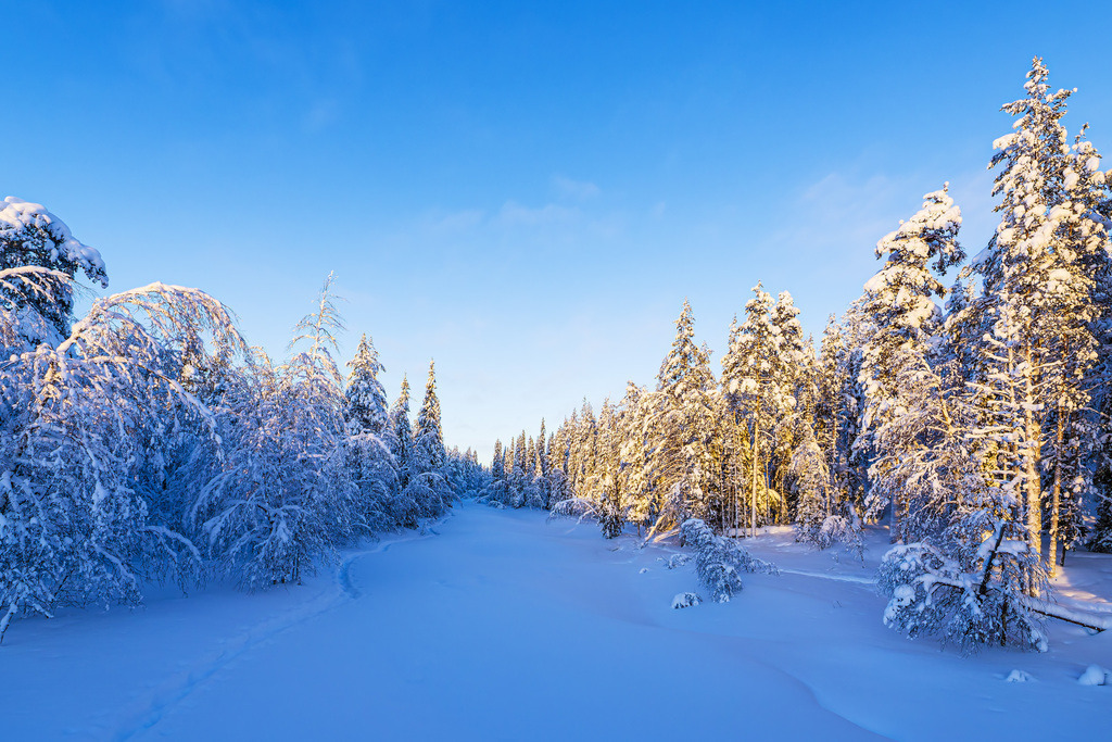 Landschaft im Winter mit Wald in Äkäslompolo, Finnland | Landschaft im Winter mit Wald in Äkäslompolo, Finnland.