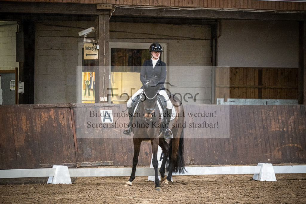 DOS_0712 | Entdecke hochwertige Reitturnierfotos von Foto Oger. Professionell, emotional und authentisch – jetzt Lieblingsmomente im Shop bestellen.Deutschlandweite Turnierfotografie. - Realisiert mit Pictrs.com