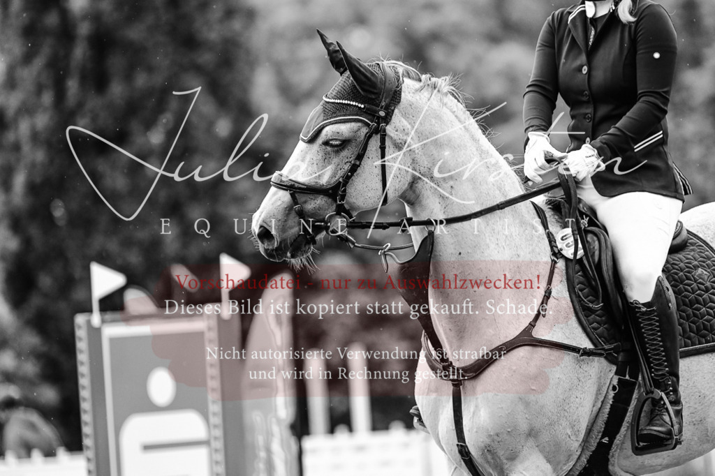 DSC_7042 | Pferde- und Turnierfotografie in Westsachsen. Pferdeportraits, Auftragszeichnungen und intuitive Kunst.