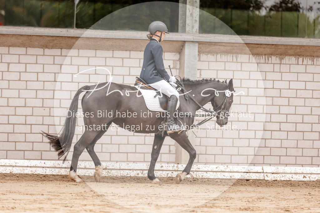 3I6A8335 | Stimmungsvolle Portraits und Reitsportfotografie im Ruhrgebiet und im Münsterland.

Pferdefotografie, Hundefotografie, Tierfotografie, Reportagen, Portraits von Tier und Mensch, Turnierfotografie in Bochum, Recklinghausen, Marl, Haltern am See, Dülmen.. - Realisiert mit Pictrs.com