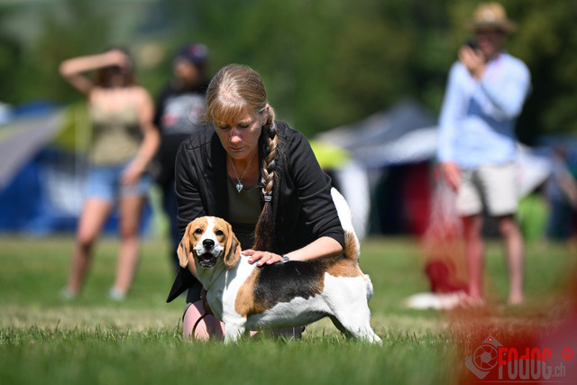 Dogshow CACIB Samstag in Aarau | Dogshow CACIB Samstag in Aarau. 24.06.2023 Foto: LeoWyden