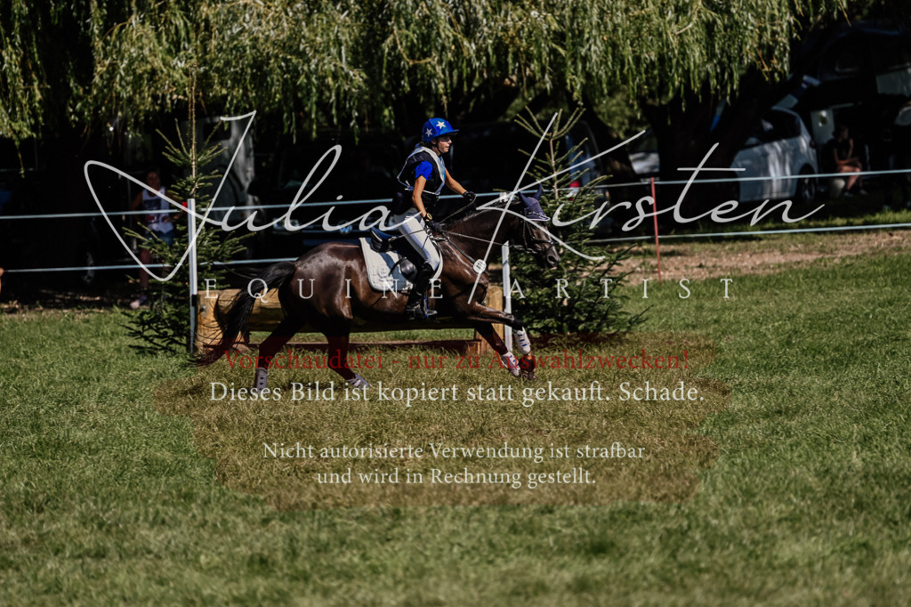 DSC_1700 | Pferde- und Turnierfotografie in Westsachsen. Pferdeportraits, Auftragszeichnungen und intuitive Kunst.