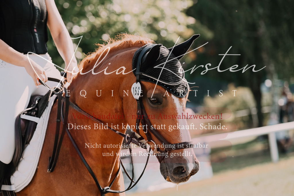 DSC_4639 | Pferde- und Turnierfotografie in Westsachsen. Pferdeportraits, Auftragszeichnungen und intuitive Kunst.