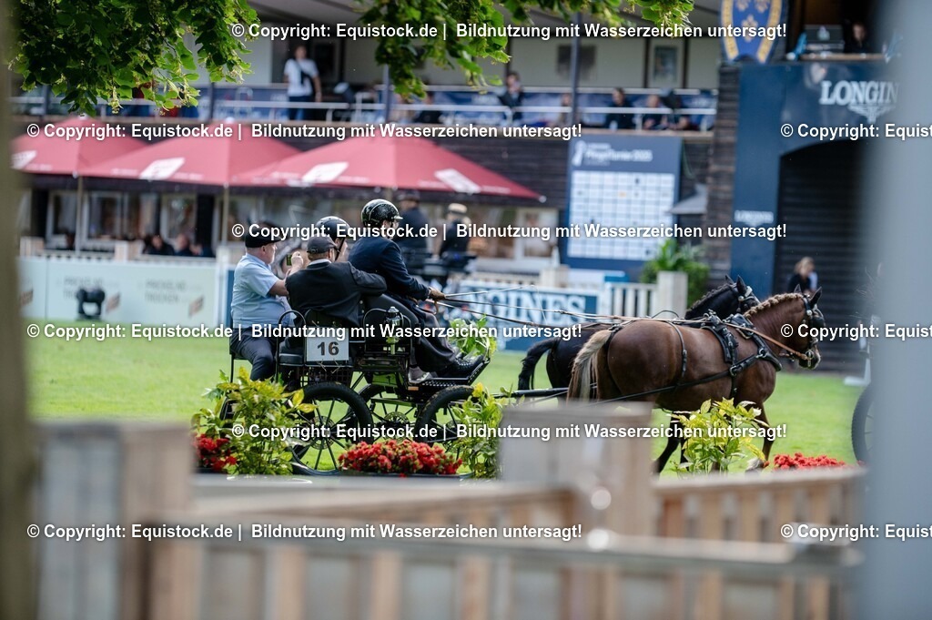 20250606_Lange-Pferdenacht_0257 | Foto: Thomas Hartig