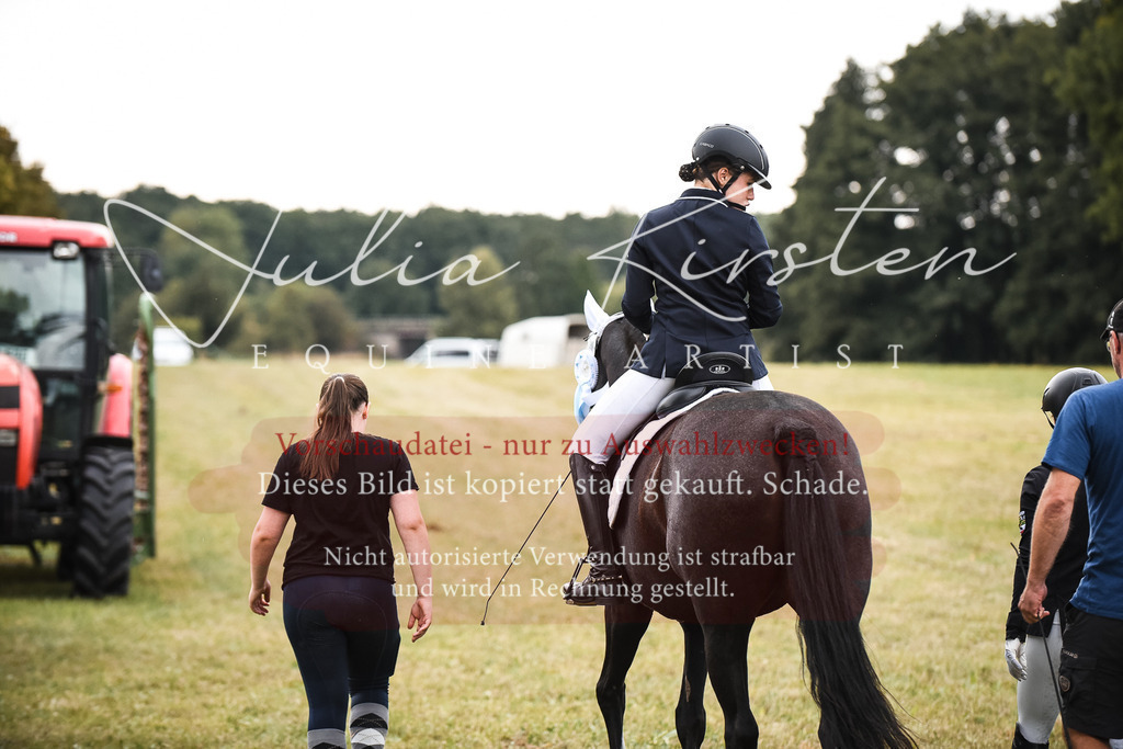 DSC_6428 | Pferde- und Turnierfotografie in Westsachsen. Pferdeportraits, Auftragszeichnungen und intuitive Kunst.