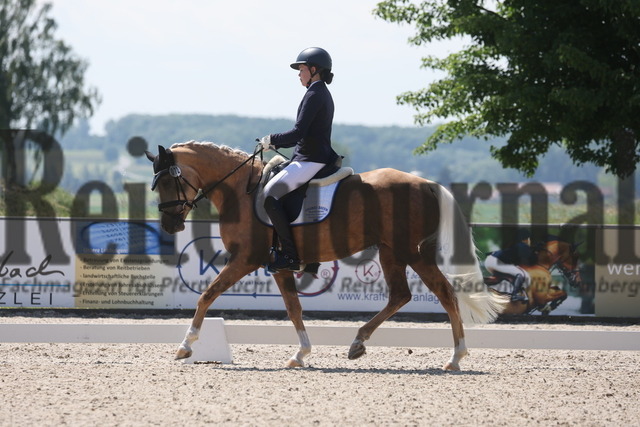 Rot am See_2024_Prfg.Nr.21_Qual.BCH_und_LCH_5-jähr.Ponys_Mona Honold_Erna 65 (7) | Alle Fotos der Reiterjournal Fotografin Doris Matthaes im Reiterjournal Online-Fotoshop. - Realisiert mit Pictrs.com