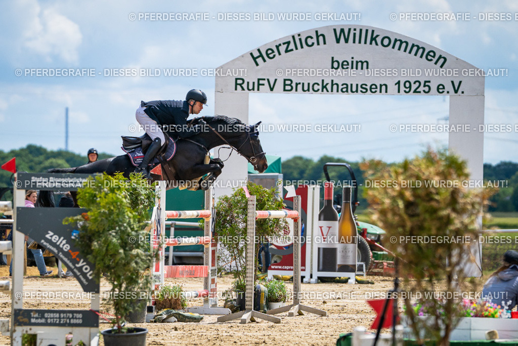 DSC05675 | Pferdegrafie