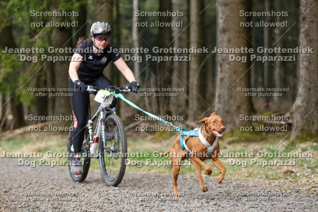 Dog Paparazzi - VCC26-584 | Dog Paparazzi Jeanette Grottendiek Fotografie & Videografie - Realisiert mit Pictrs.com