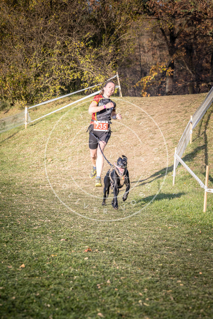CaniXpix_0L8A9716 | Hundefotografie, Tierfotograf, Pfotenfotografie, Fotoshooting Hund, Hunde Portrait, Hundesport, Hundeportraits, Heideshooting, Hunde, Sportfotograf, Hundefotograf, Turnierhundsport, THS,  - Realisiert mit Pictrs.com