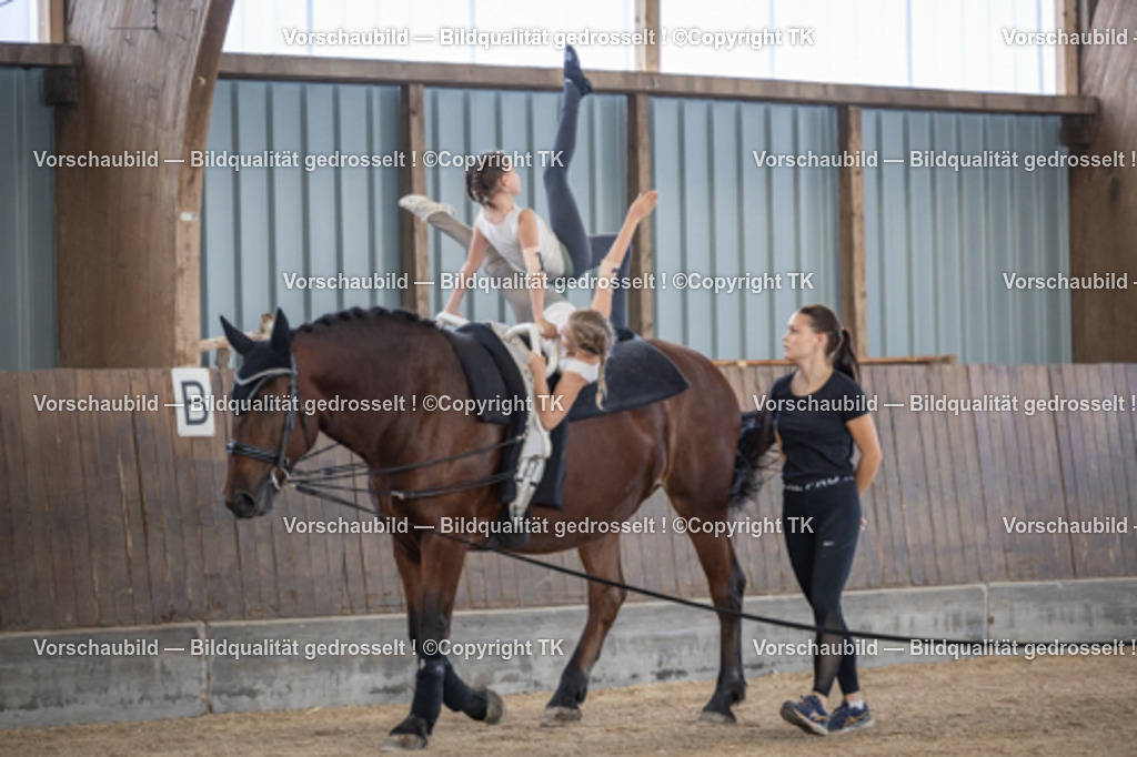 _D5A7129 | Emotionale Pferde- & People-Fotografie rund um Heidelberg, Leimen & Umgebung. Natürliche Fotos von Pferd, Mensch & Familie. Jetzt Termin sichern!
