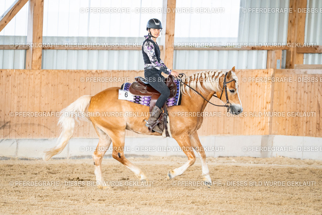 DSC09128 | Pferdegrafie