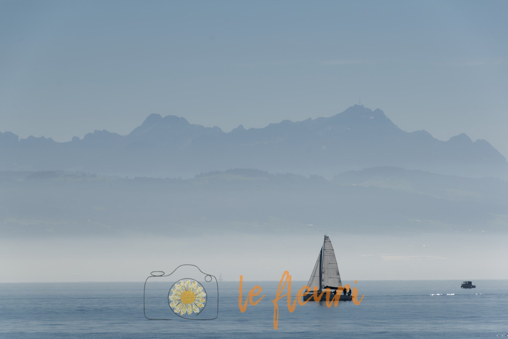 Überlingen | Dies ist der Shop von Florian Blum - le fleuri. Langenthal, Bern, Schweiz. Sie können hier meine oder ihre eigenen Fotos als Fotoprodukte kaufen. Tassen, Schlüsselanhänger, Taschen etc. können Sie hier gestalten.  - Realisiert mit Pictrs.com