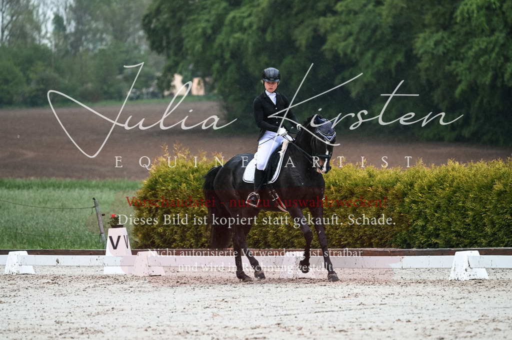 DSC_4510 | Pferde- und Turnierfotografie in Westsachsen. Pferdeportraits, Auftragszeichnungen und intuitive Kunst.