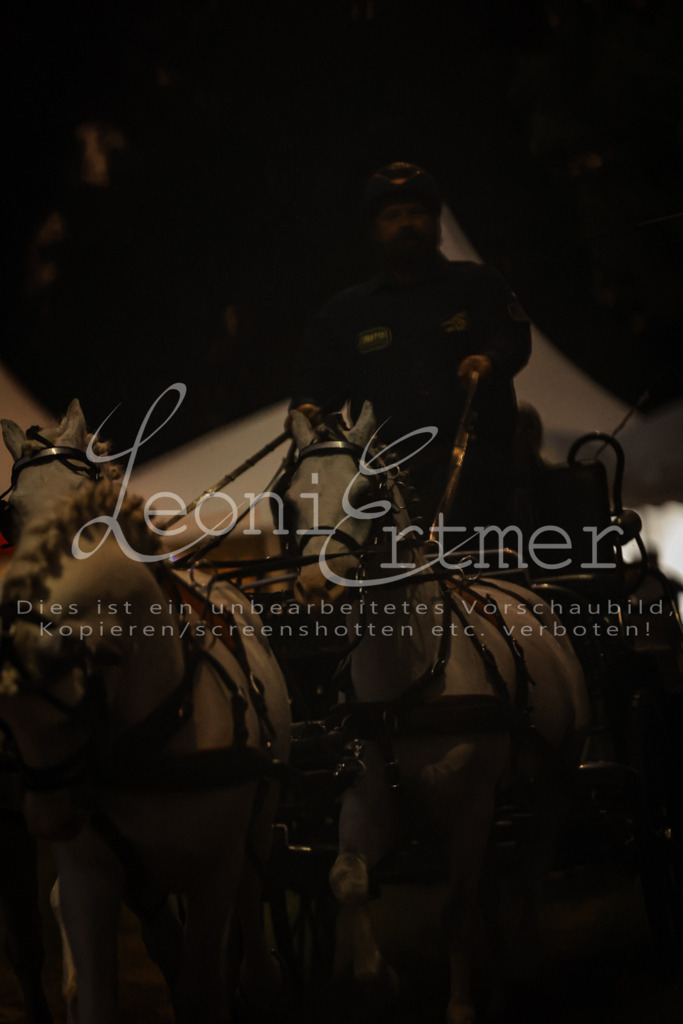 SaShow00306 | Leoni Ertmer Photography - Realisiert mit Pictrs.com