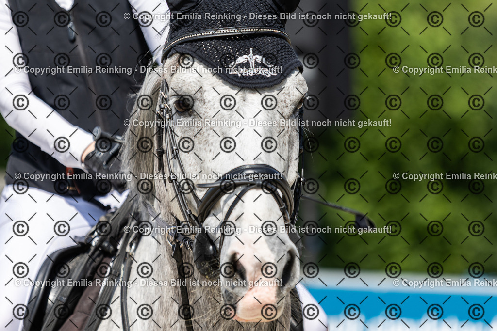 CL5A0966 | Emilia Reinking Fotografie - Realisiert mit Pictrs.com