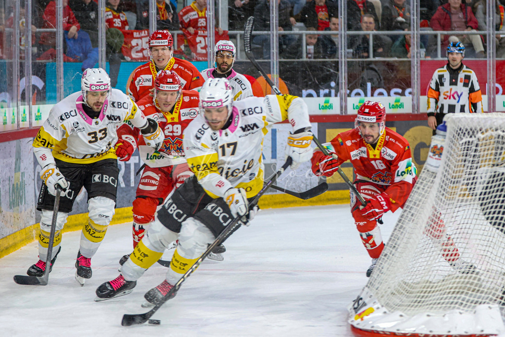 EHCB vs HCA 20260127_wb-9709 | Sportbilder, Sportfotograf, Hochzeits- und Eventfotografin, Flugshows, Portraits und Tiershooting, Aviation, Downhill, Nationalleague, Swissleague, International