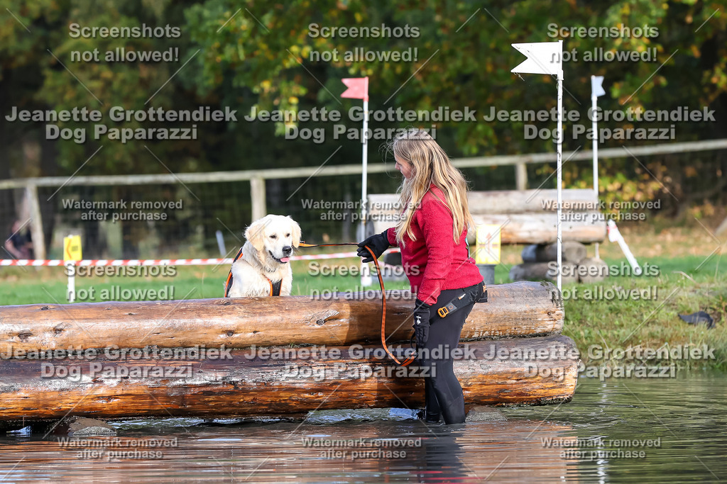 Dog Paparazzi - Strongdog 10-25-8225 | Dog Paparazzi Jeanette Grottendiek Fotografie & Videografie - Realisiert mit Pictrs.com