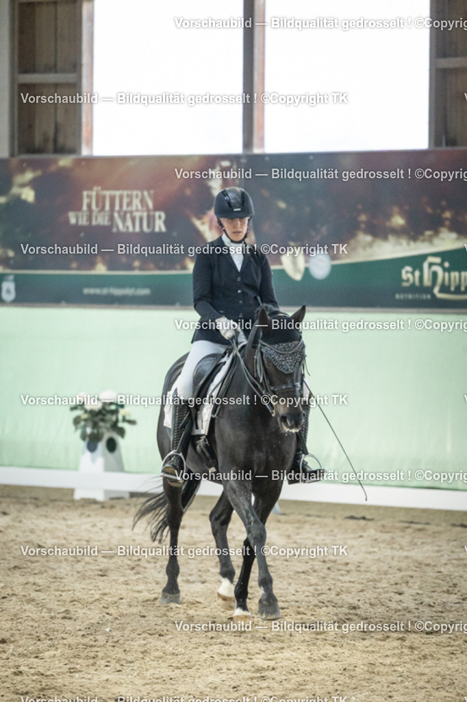 _D5A3666 | Emotionale Pferde- & People-Fotografie rund um Heidelberg, Leimen & Umgebung. Natürliche Fotos von Pferd, Mensch & Familie. Jetzt Termin sichern!