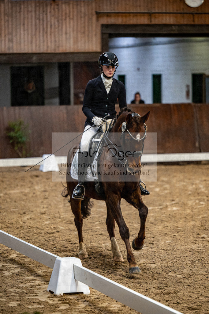 20240310-DOS_7508 | Entdecke hochwertige Reitturnierfotos von Foto Oger. Professionell, emotional und authentisch – jetzt Lieblingsmomente im Shop bestellen.Deutschlandweite Turnierfotografie. - Realisiert mit Pictrs.com