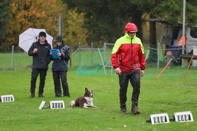 2025_Rally_Obedience_SM-158 | Ich fotografiere Hundeausstellungen, Sportanlässe, Zuchtstätten, Hundezucht, Hundeportrait, Lagotto - Realisiert mit Pictrs.com