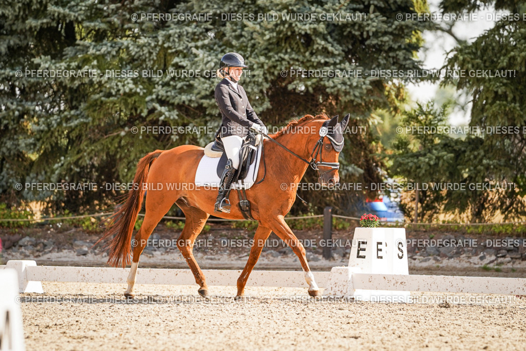 DSC00759 | Pferdegrafie