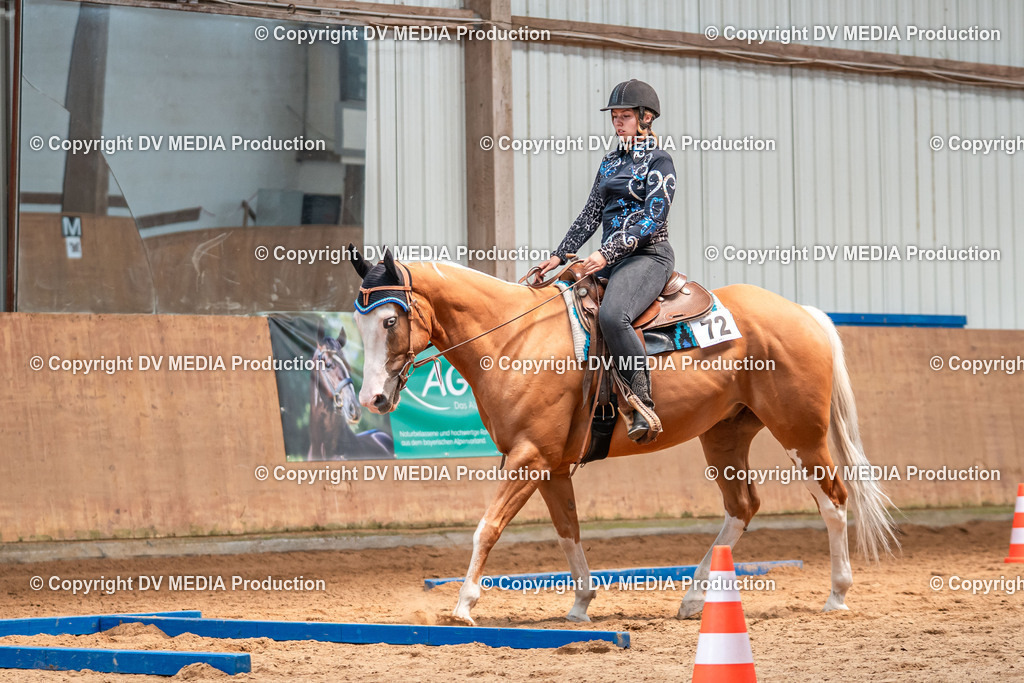 Neckargemünd Tag 2-524 | dv-media-shop - Realisiert mit Pictrs.com