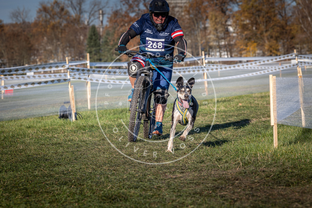 CaniXpix_0L8A5104 | Hundefotografie, Tierfotograf, Pfotenfotografie, Fotoshooting Hund, Hunde Portrait, Hundesport, Hundeportraits, Heideshooting, Hunde, Sportfotograf, Hundefotograf, Turnierhundsport, THS,  - Realisiert mit Pictrs.com