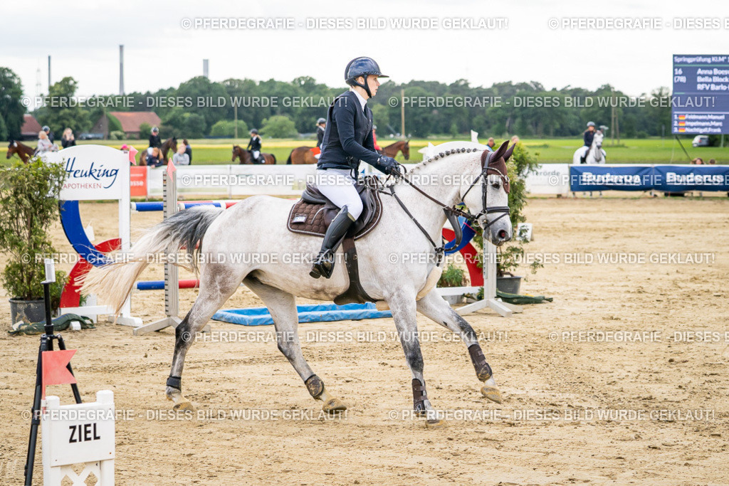 DSC06494 | Pferdegrafie