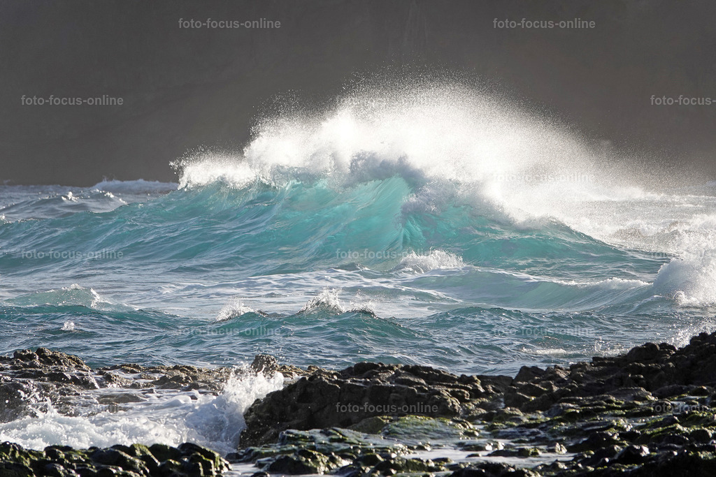 waves | foto-focus-online