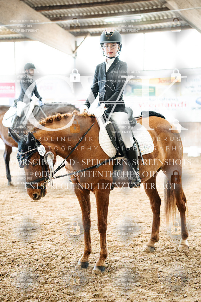 CK703097 | Turnierfotografie Pferdefotografie Trier Rheinland-Pfalz Pferdesport Reitsport Tierfotografie Sportfotografie Pferdevideo Pferdevideografie Equestrianvideography equestrianphotography  - Realized with Pictrs.com