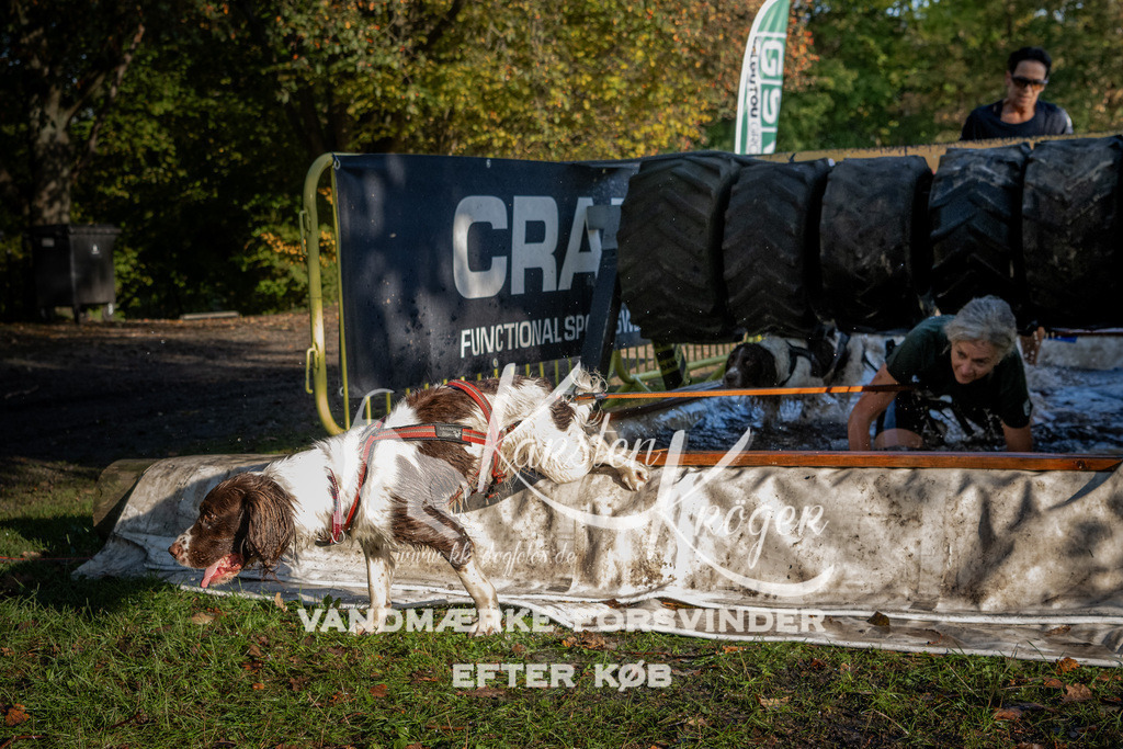 0941_ZZ91739 | kk-dogfotos