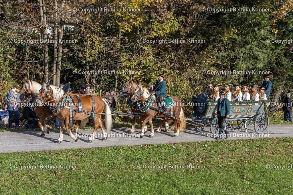 LBT24-303 | foto-bettina-krinner - Realisiert mit Pictrs.com