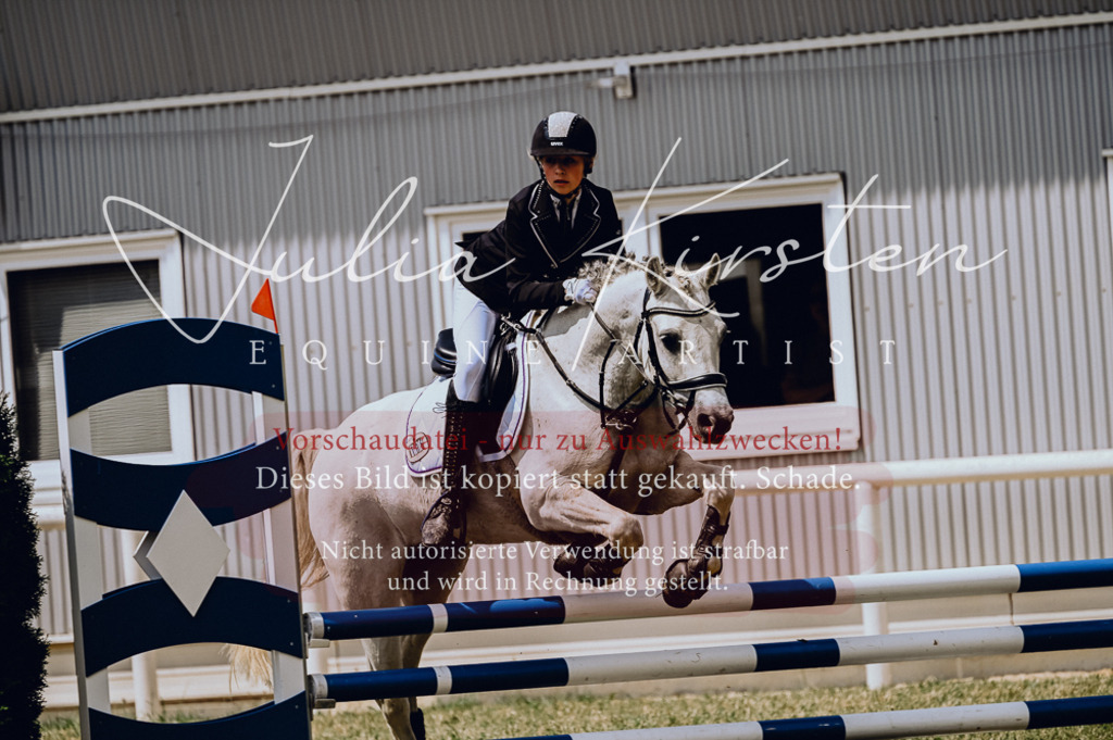 DSC_9414 | Pferde- und Turnierfotografie in Westsachsen. Pferdeportraits, Auftragszeichnungen und intuitive Kunst.