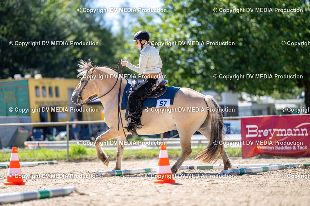 LM Heiligenwald Tag 1-696 | dv-media-shop - Realisiert mit Pictrs.com