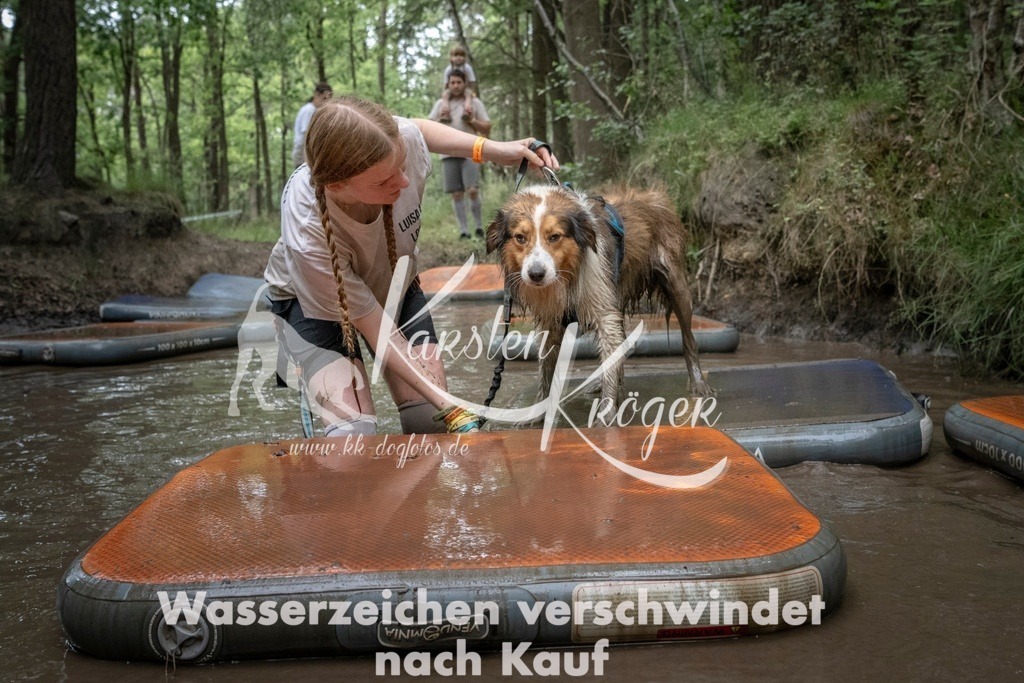 1213_ZZ97919T | kk-dogfotos
