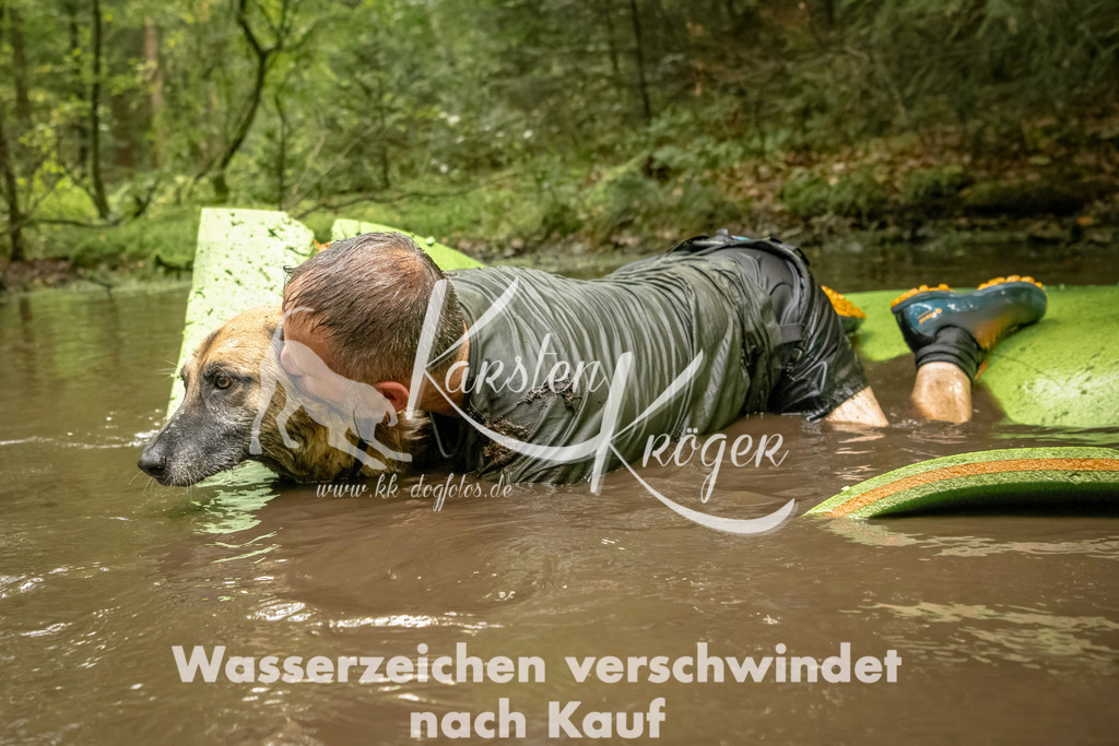 1410_ZZ91257-Bearbeitet | kk-dogfotos