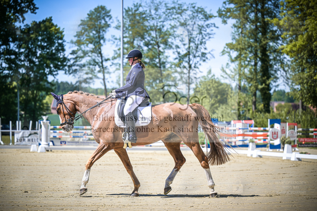 DOS_7926 | Entdecke hochwertige Reitturnierfotos von Foto Oger. Professionell, emotional und authentisch – jetzt Lieblingsmomente im Shop bestellen. - Realisiert mit Pictrs.com