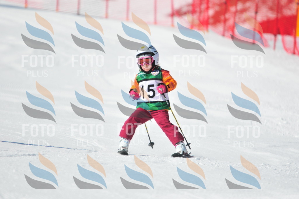 C1889 | holidayphoto